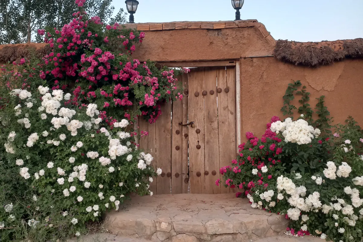 بومی‌گردی قلعه بشیری